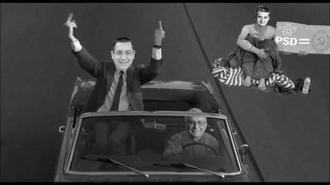 psd = pcr | poze haioase