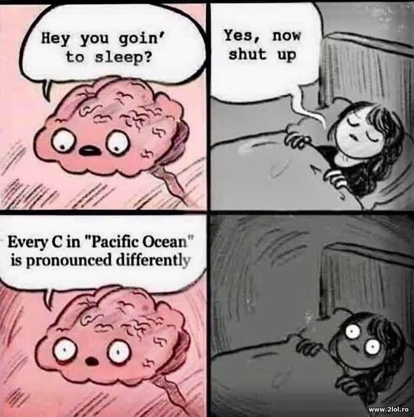 Hey you goin' to sleep? Yes, now shut up | poze haioase