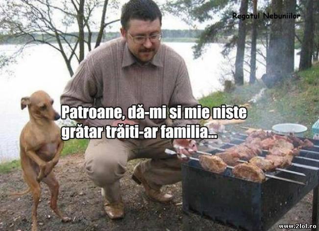 I s-a facut pofta | poze haioase