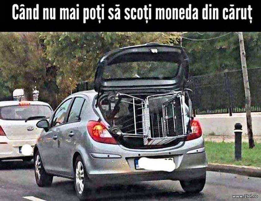 Cand nu mai poti sa scoti moneda din carut | poze haioase