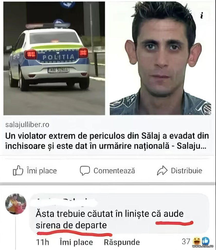 Aude sirena de departe | poze haioase