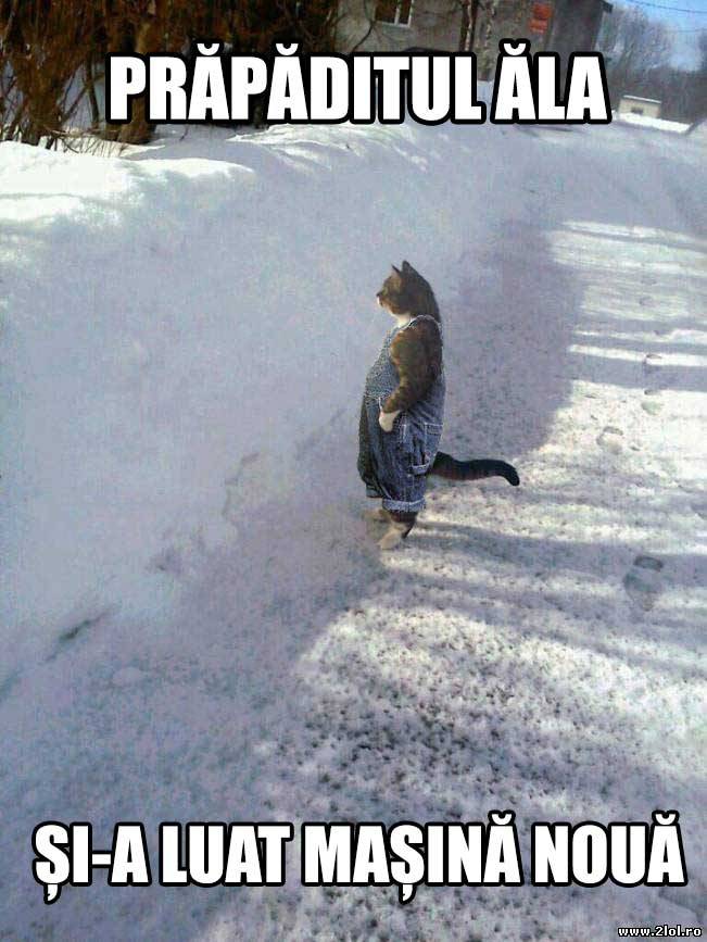 Prăpăditul ăla și-a luat mașină noua | poze haioase