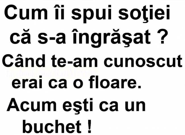 Cum să îi spui că s-a îngrășat fără să o jignești | poze haioase