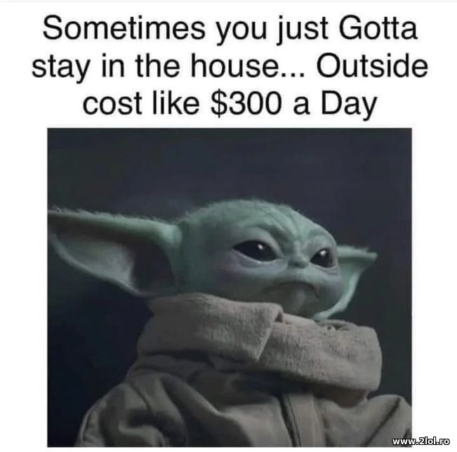 Sometimes you gotta stay in the house | poze haioase