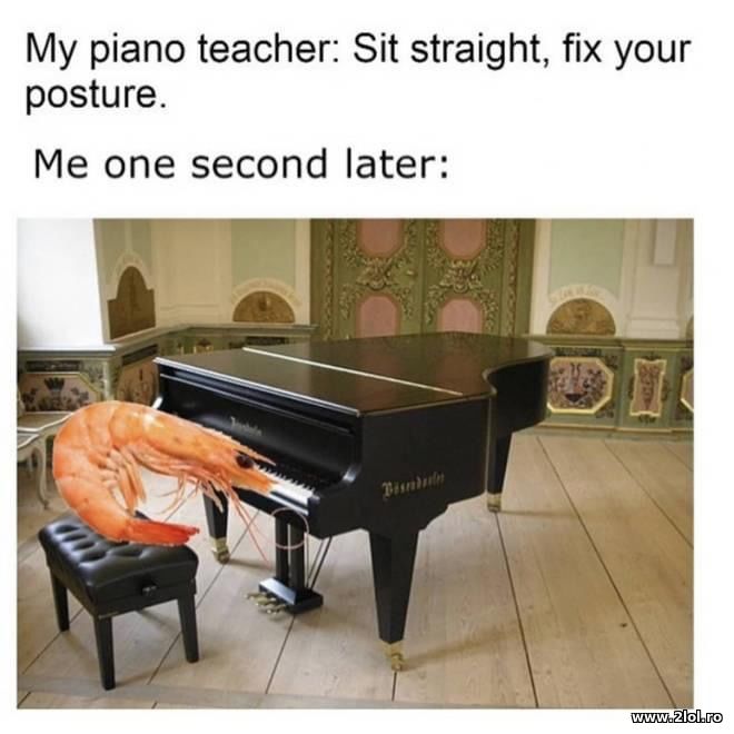 Sit straight, fix your posture | poze haioase