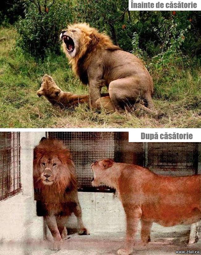 Cuplurile, înainte și după căsătorie | poze haioase