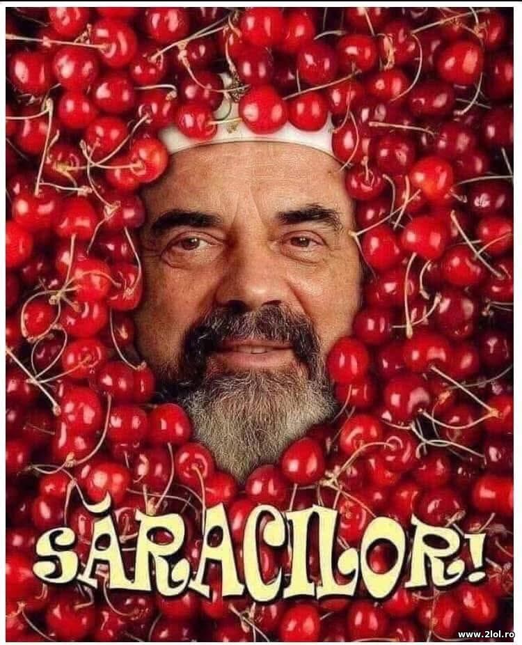 Saracilor | poze haioase