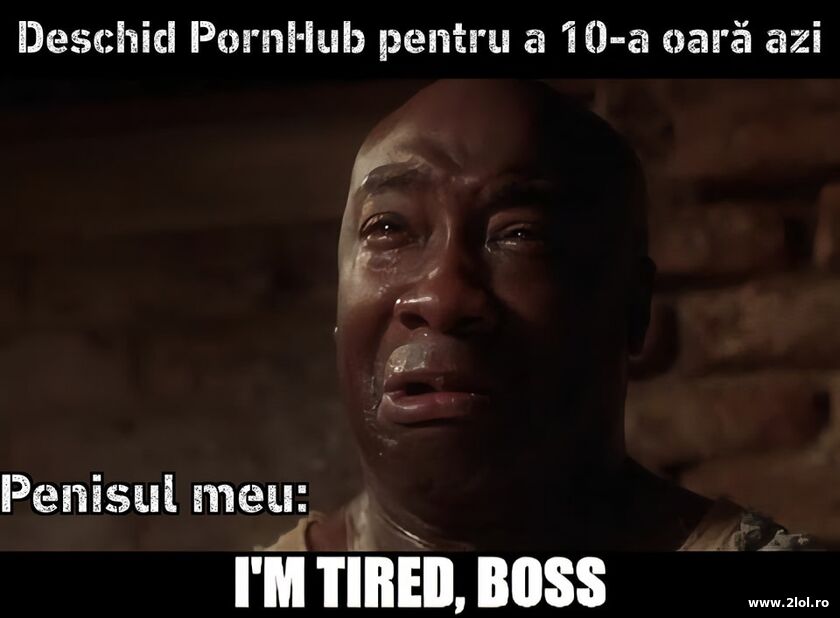 I'm tired boss | poze haioase
