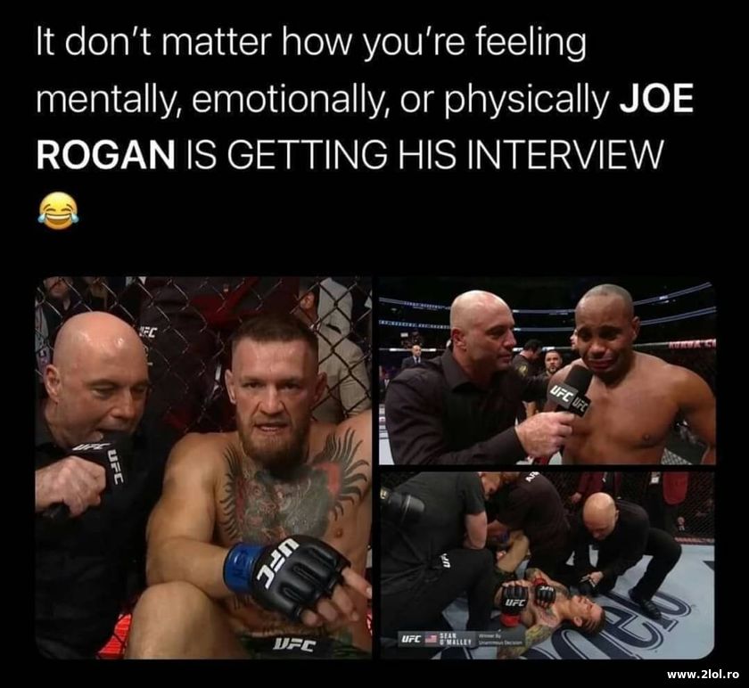 It don't matter how you're feeling - Joe Rogan | poze haioase