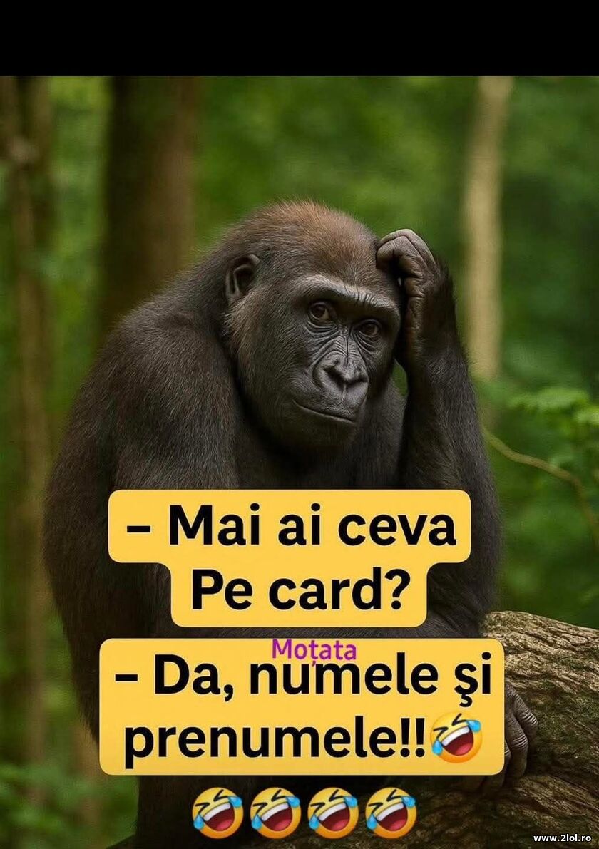 Mai ai ceva pe card? | poze haioase
