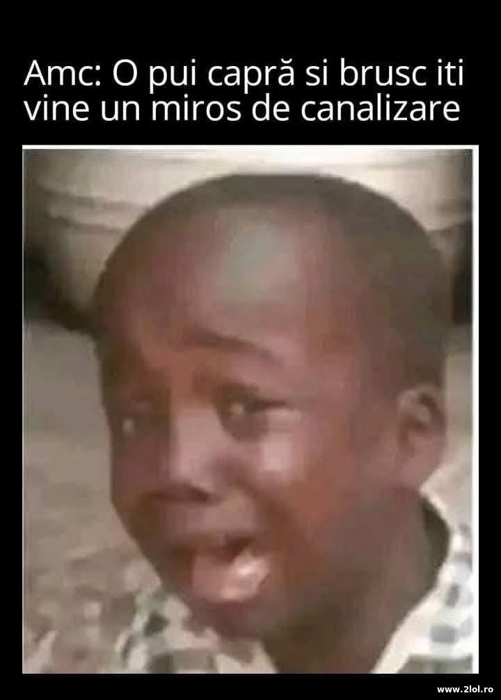 O pui capra | poze haioase