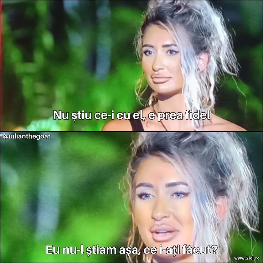 Nu stiu ce-i cu el | poze haioase