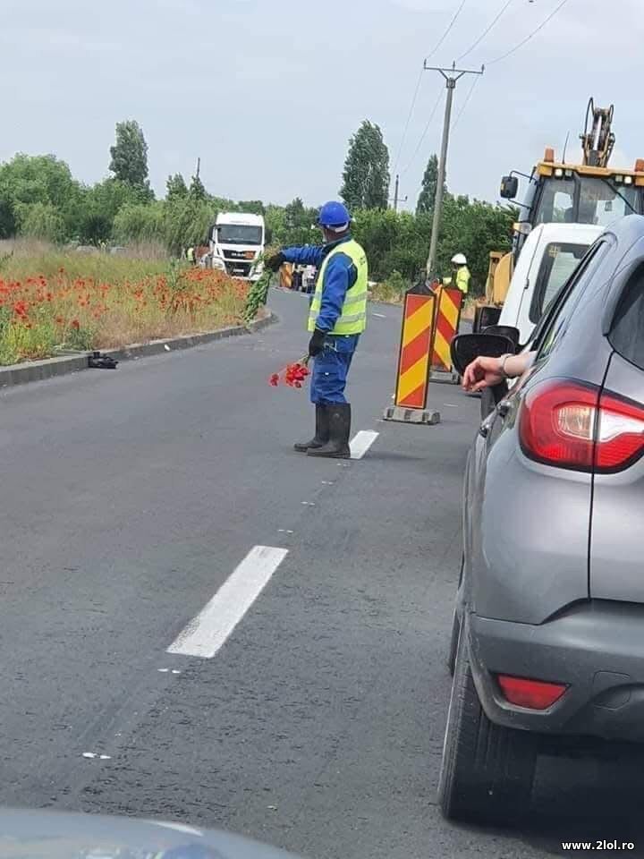 Merge si asa, bio | poze haioase