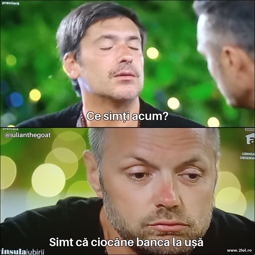 Ce simti acum? | poze haioase