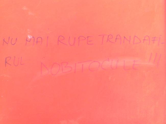 Nu mai rupe trandafi-rul | poze haioase