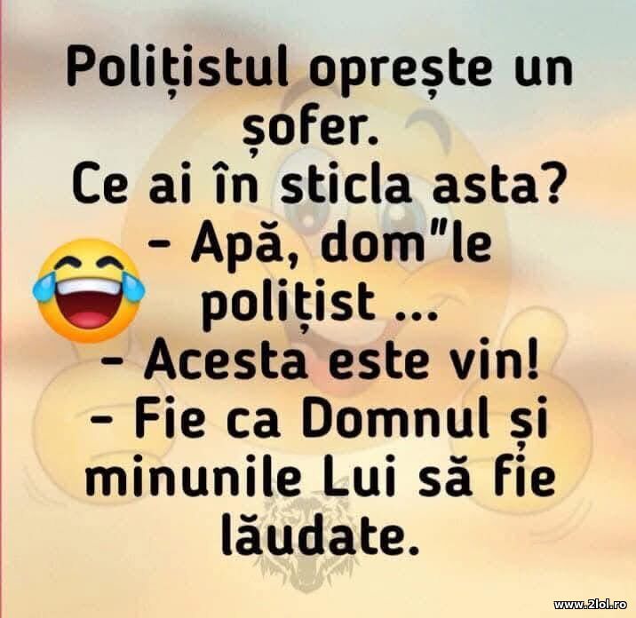 Politistul opreste un sofer | poze haioase