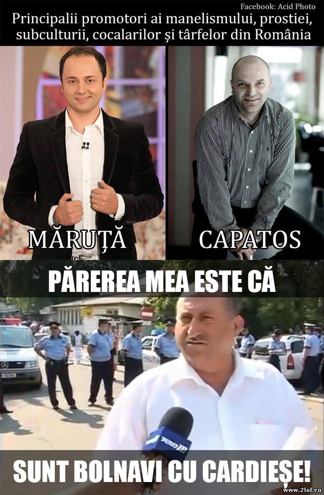 Probabil de asta promovează prostia la TV | poze haioase