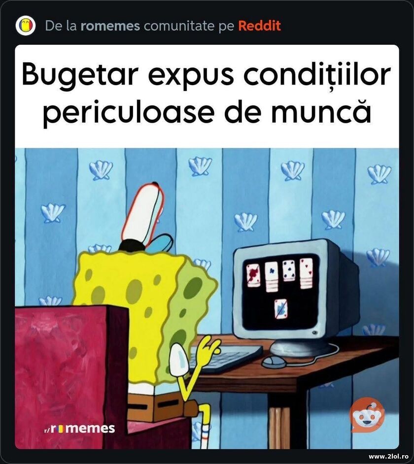 Bugetar | poze haioase