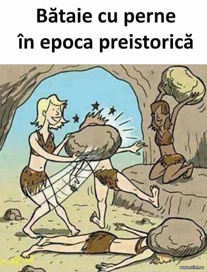 Bataie cu perne | poze haioase