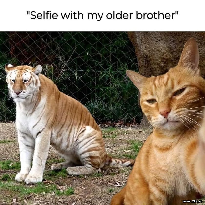 Selfie with my older brother | poze haioase